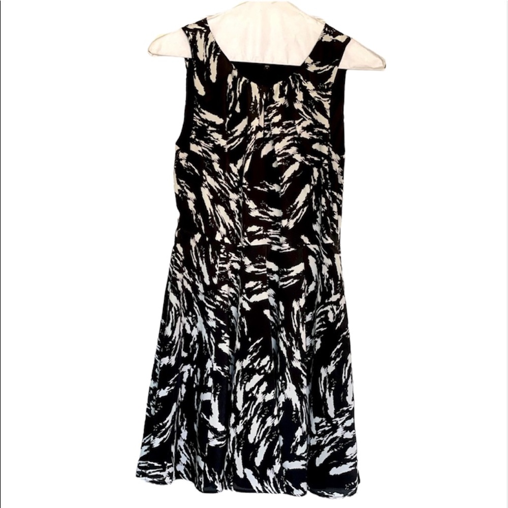 Fit and Flare Black and White Dress